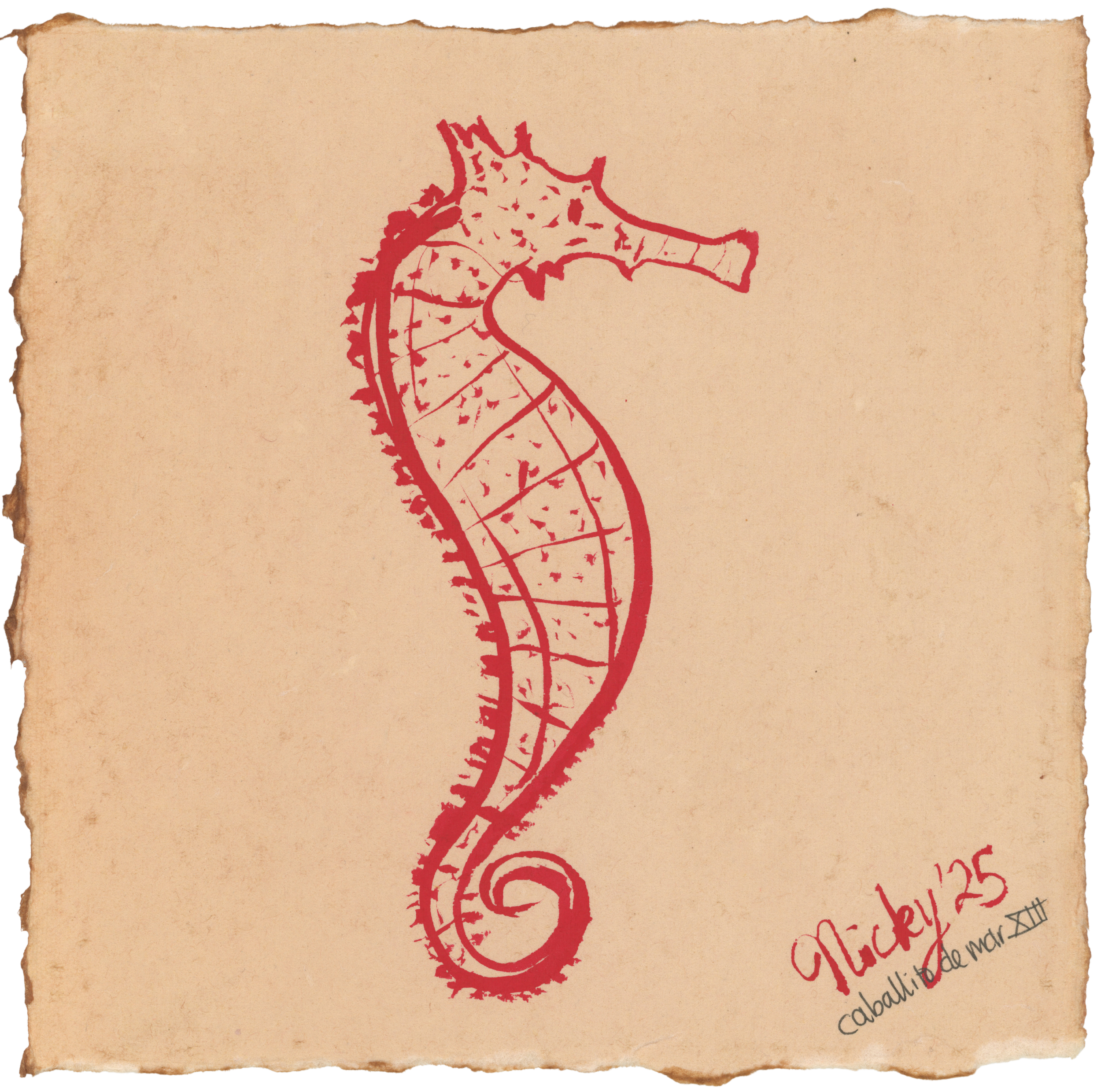 Caballito de Mar XIII