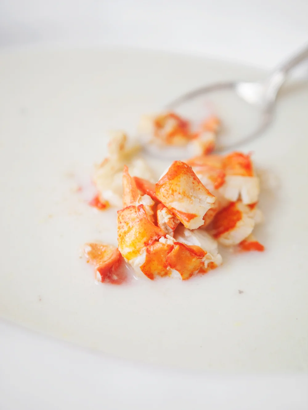White-Corn-Soup-with-Lobster_03.jpg