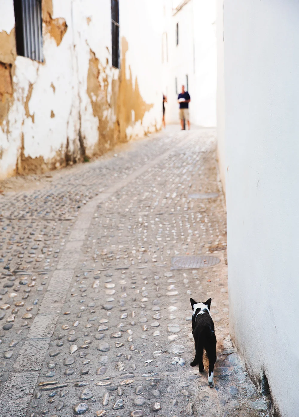 AndaluciaSpain_JG_2696.jpg