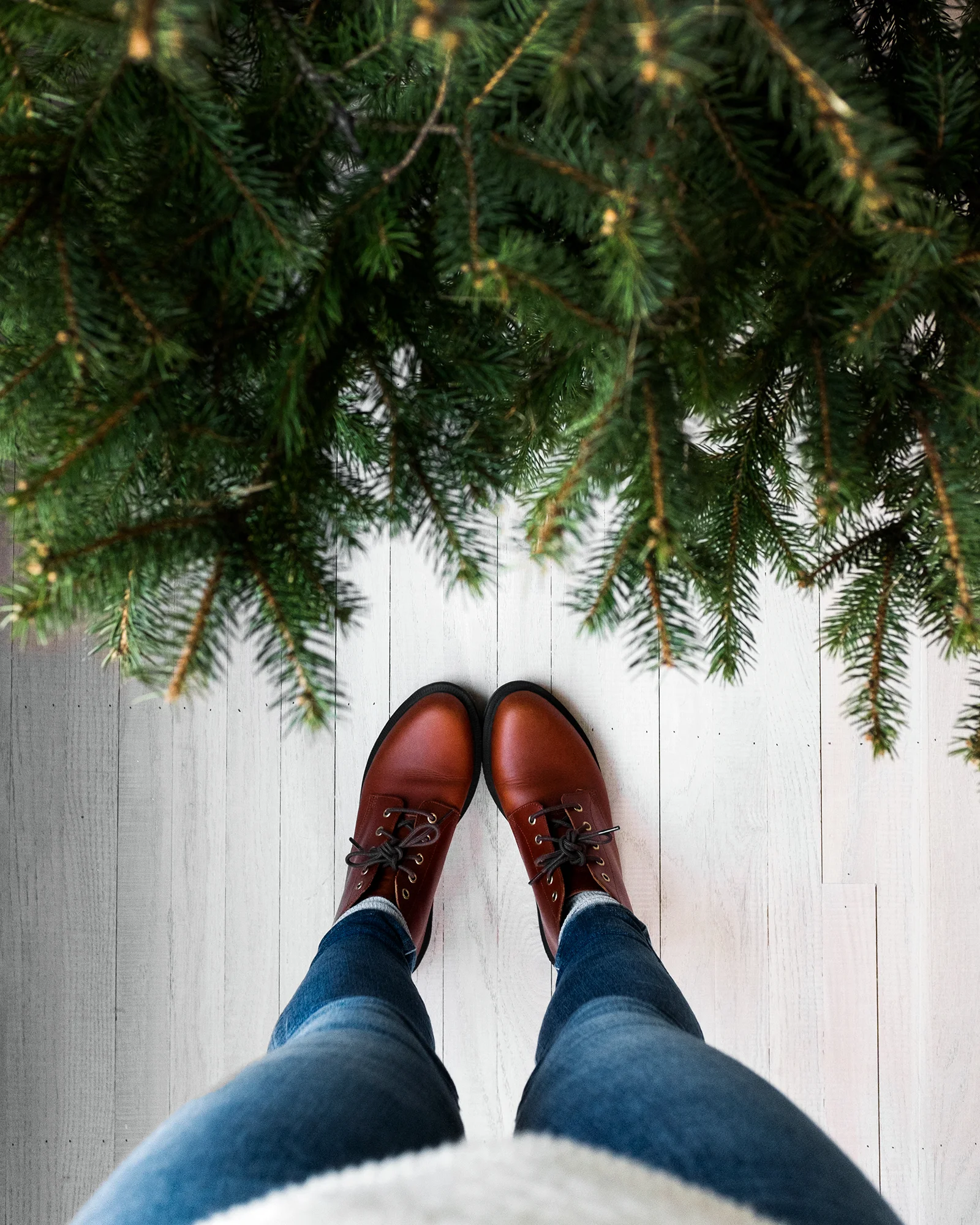 ABHSS_JG_HolidayDecor.jpg