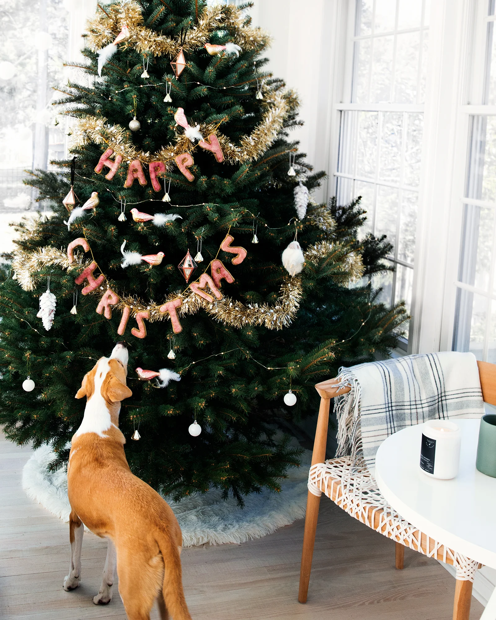 ABHSS_JG_HolidayDecor_0107.jpg