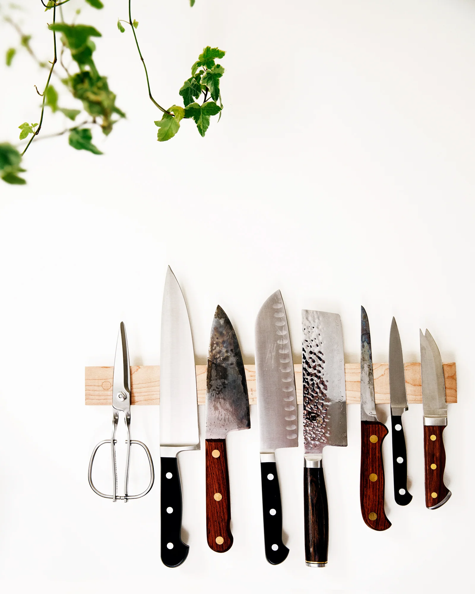ABHSS_KitchenTour2018_2247.jpg
