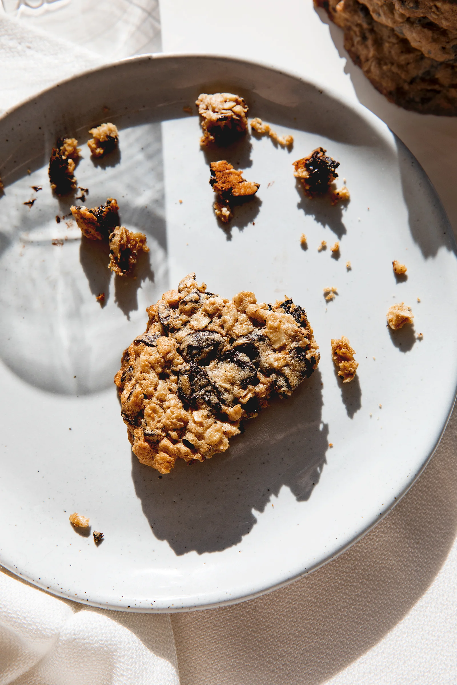 ABHSS_JG_GlutenFreeOatmealChocolateChunkCookies_0145.jpg