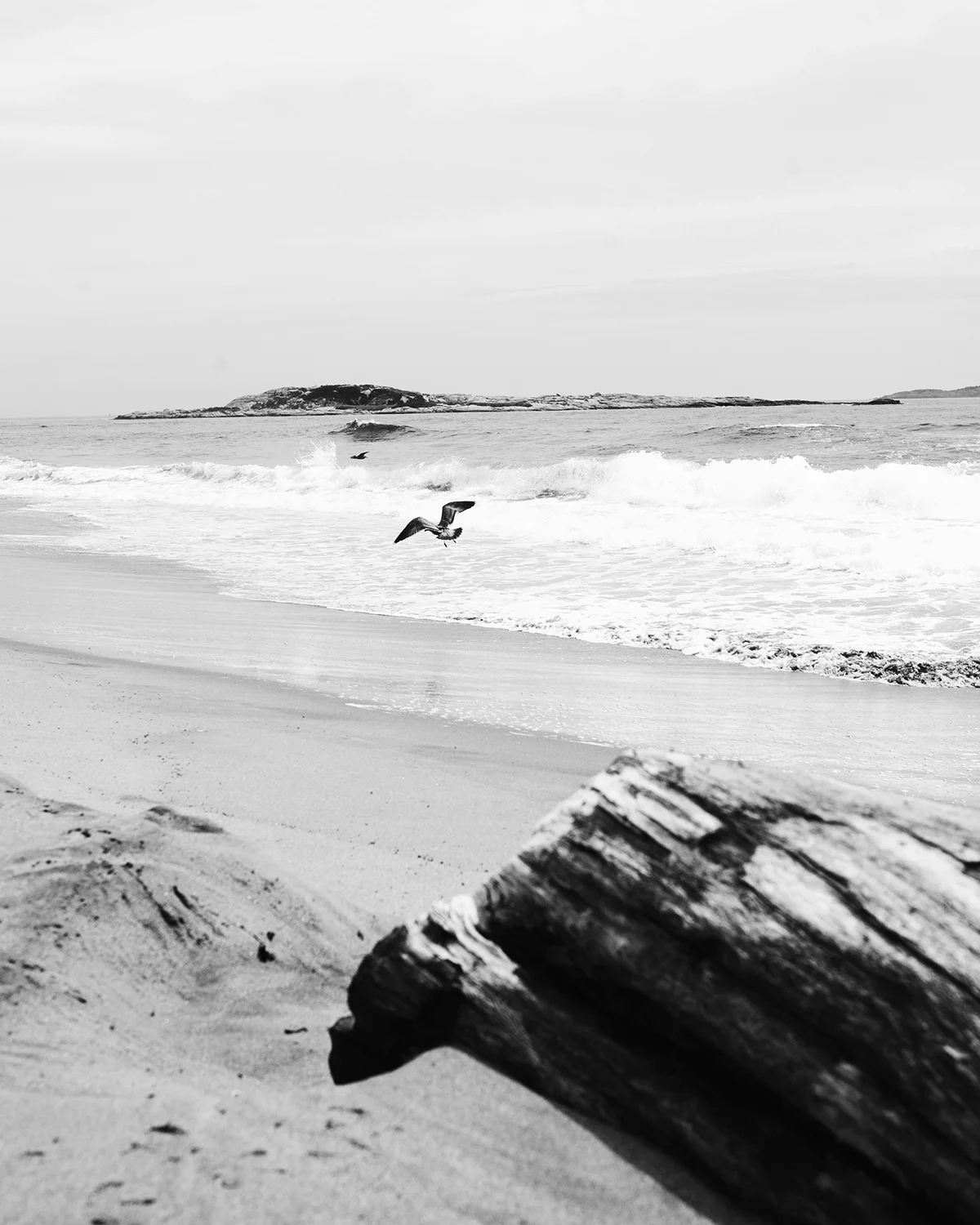 Maine_8x10.jpg