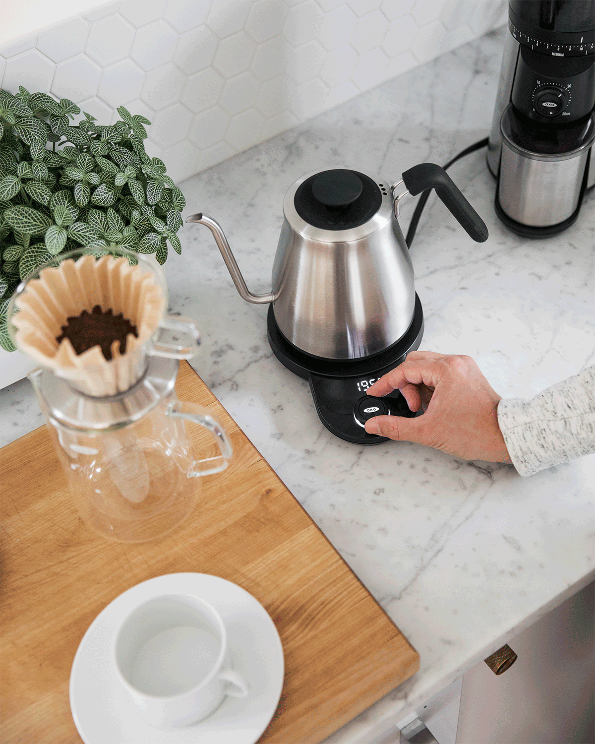 JG_BH_OxoCoffee_temp.gif