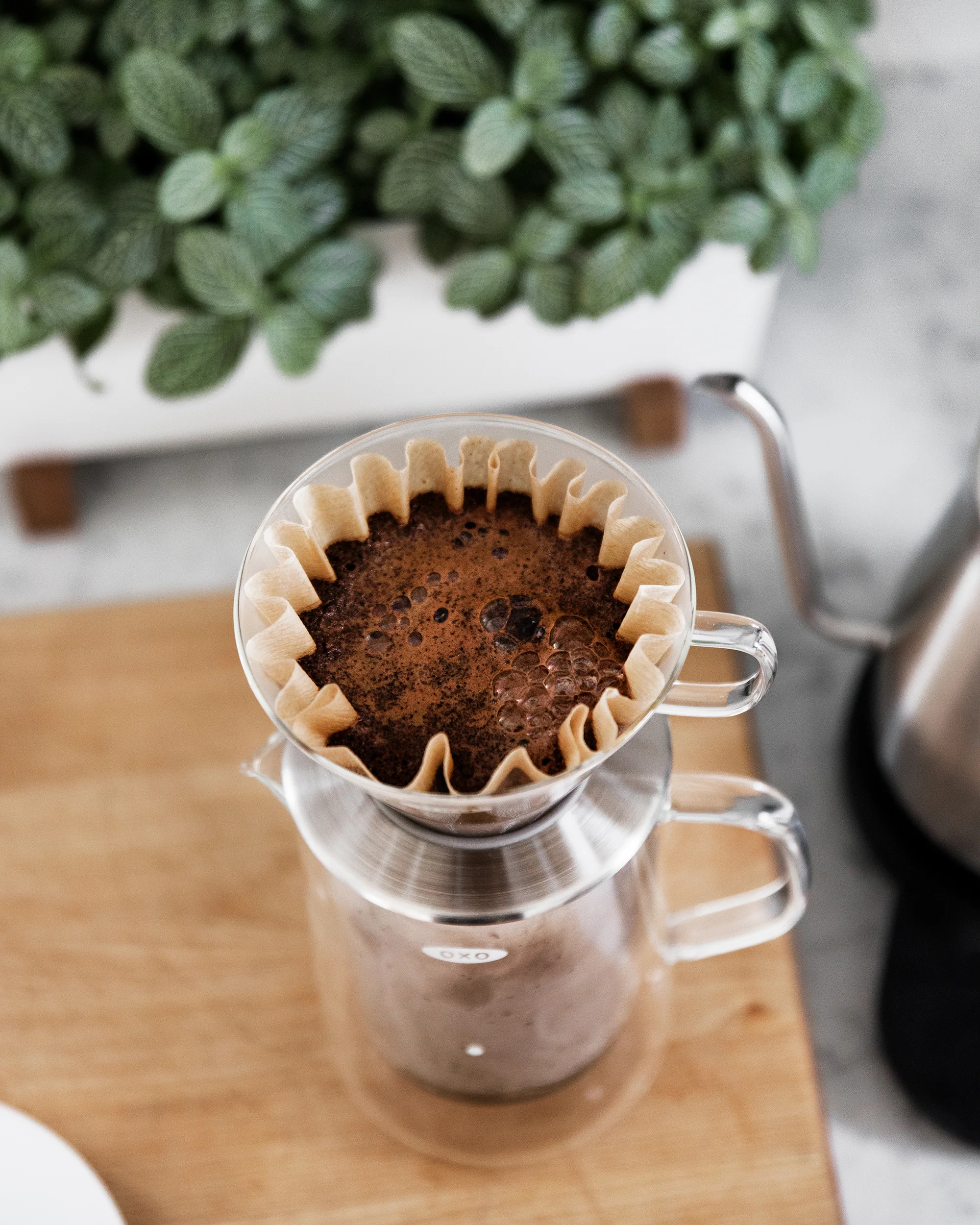 JG_BH_OxoCoffee_0242.jpg