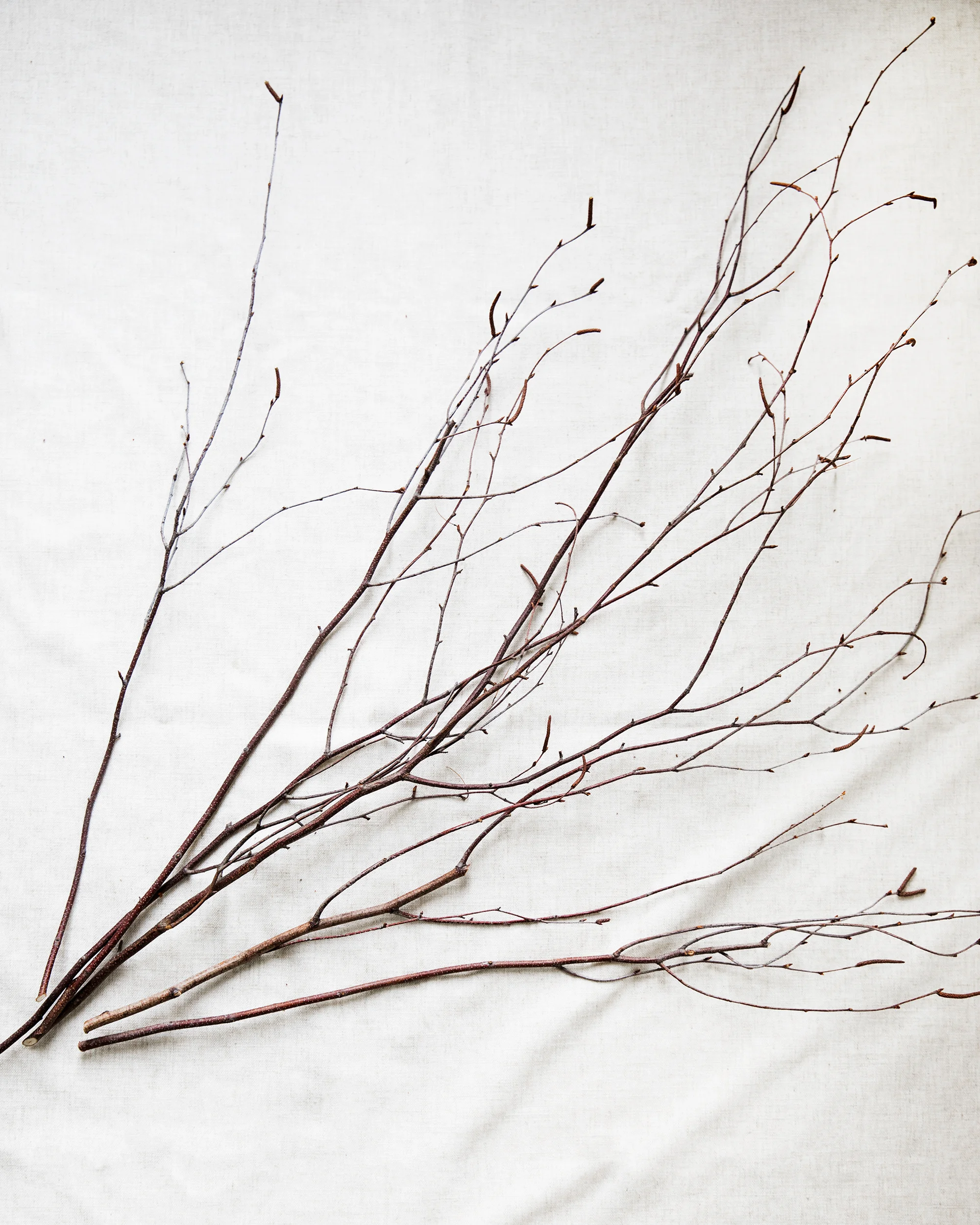 BetterHappier_FeroxStudio_WreathMakingDIY_0030.jpg