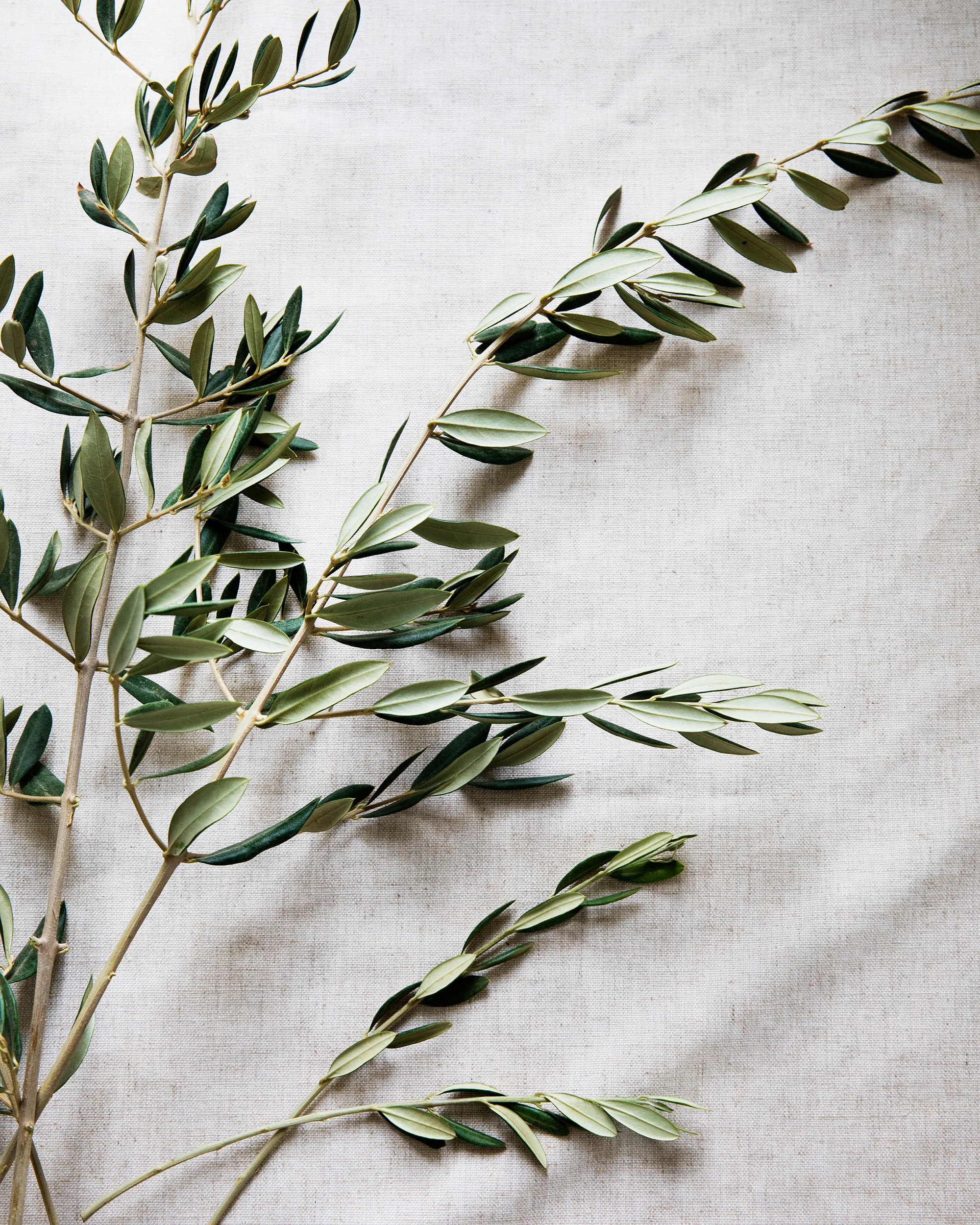BetterHappier_FeroxStudio_WreathMakingDIY_0099.jpg