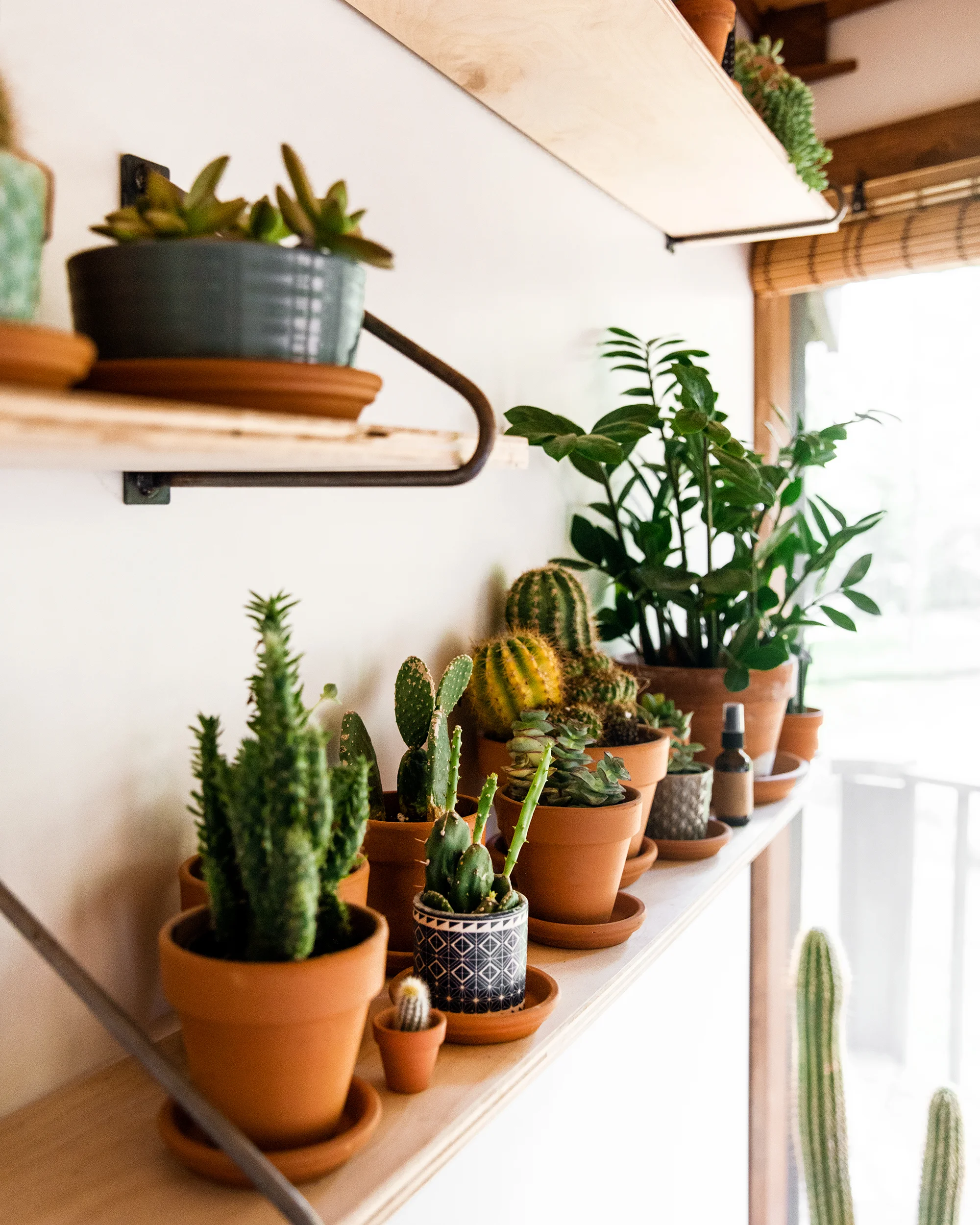JG_TreeHouseCampCaitlin_June2019_0162.jpg