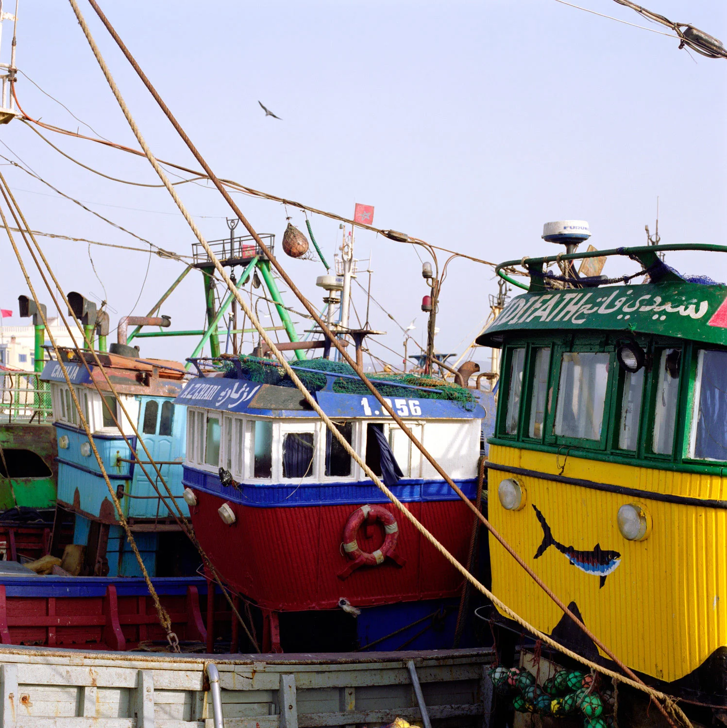 morroco_033.jpg