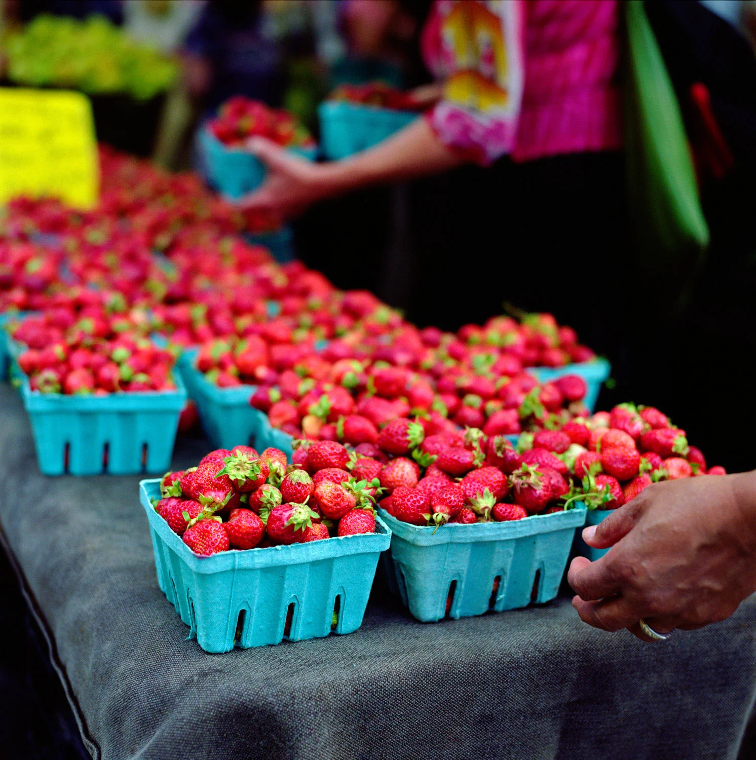 greenmarket_072.jpg
