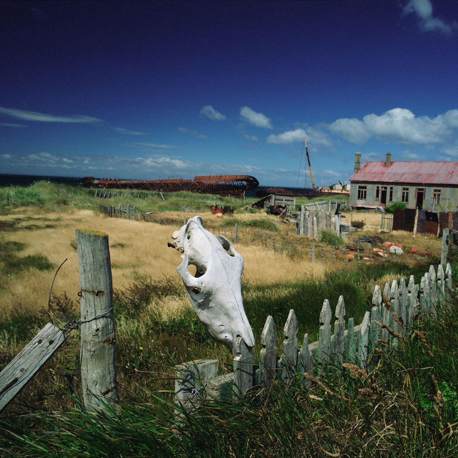 travelcolor_031.jpg