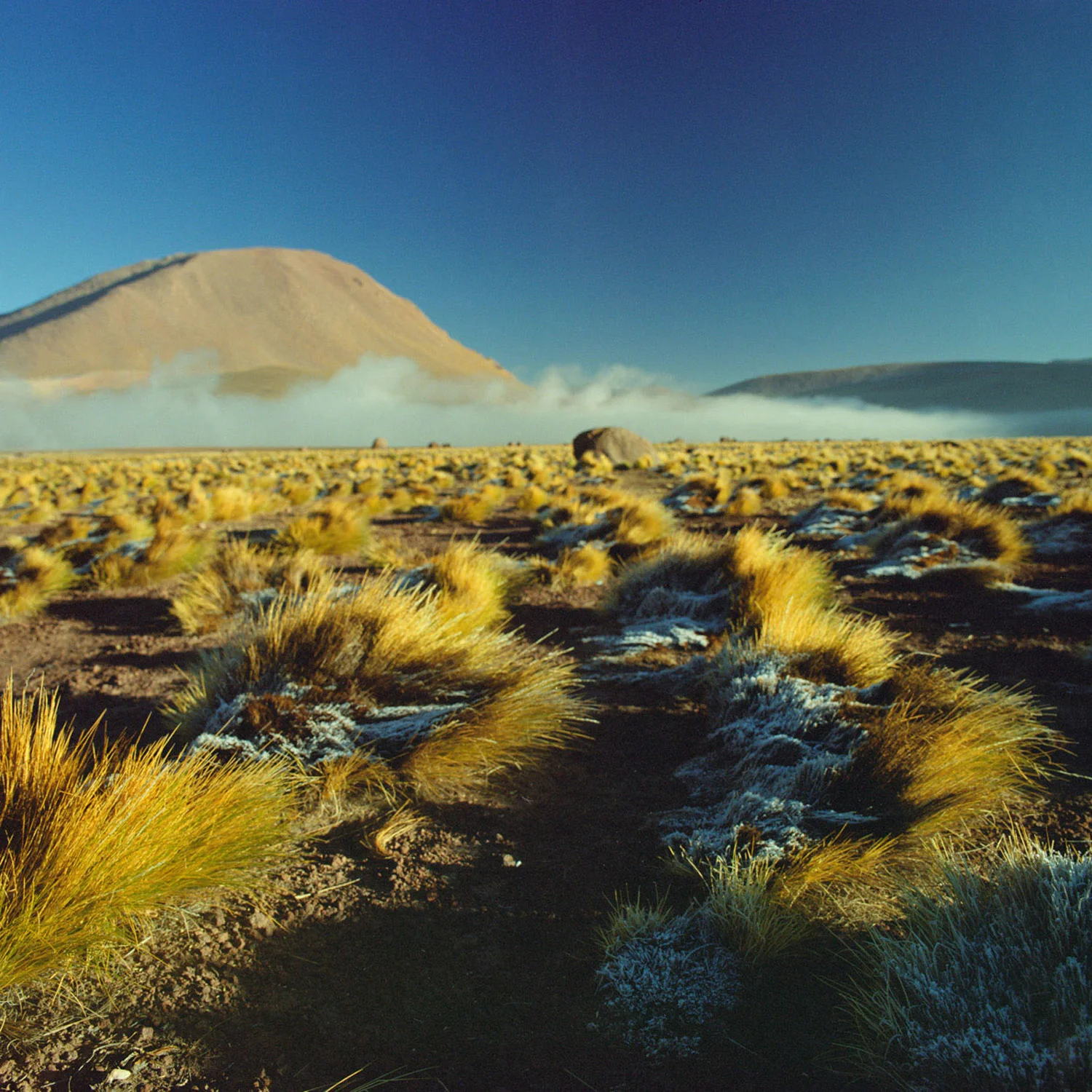 travelcolor_081.jpg