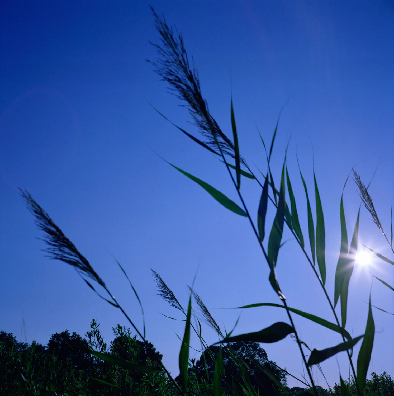 landscape011.jpg
