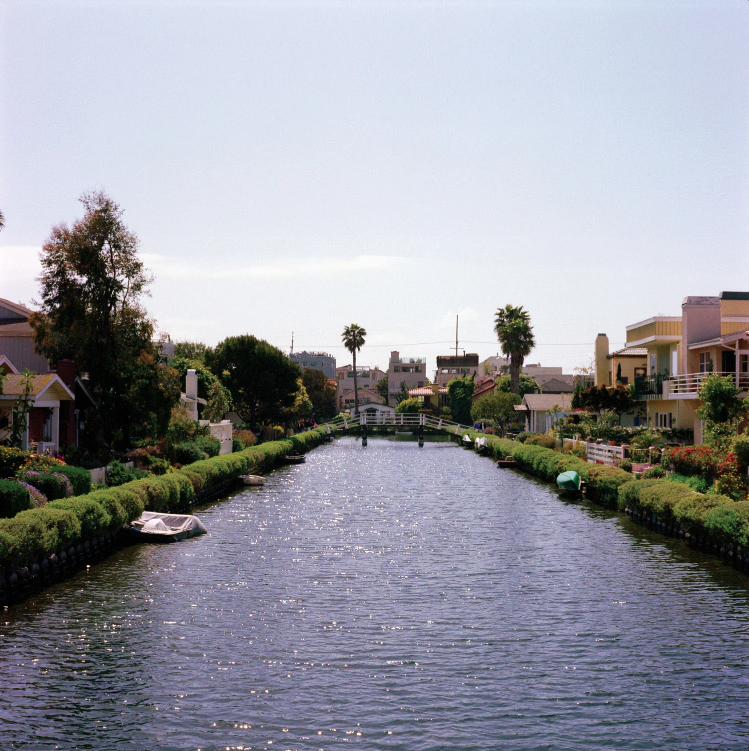 landscape005.jpg
