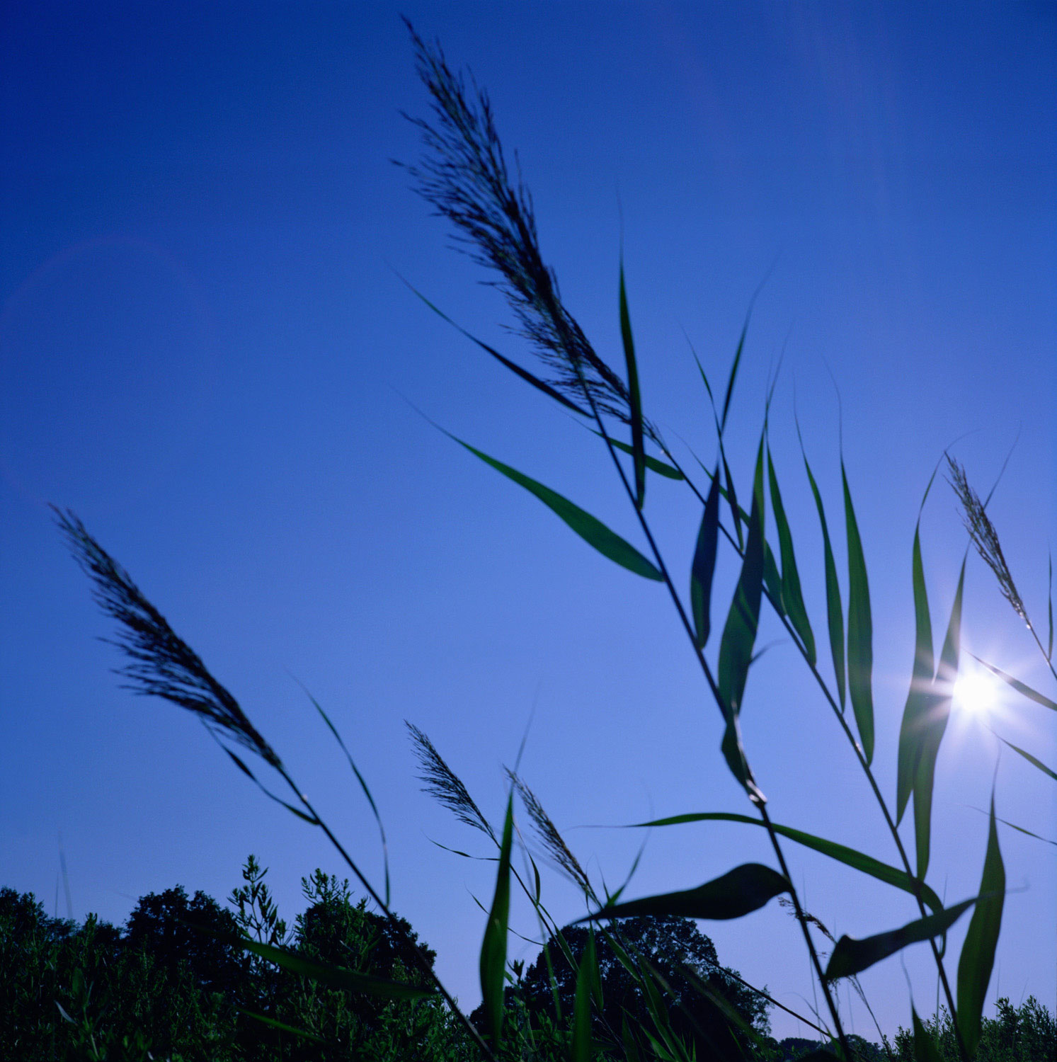 landscape011.jpg