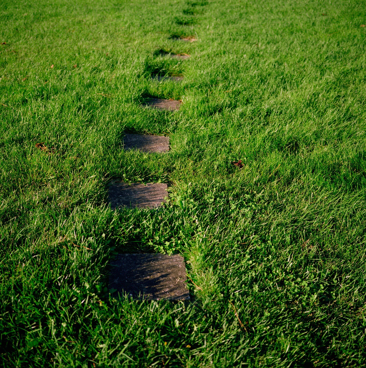 landscape010.jpg