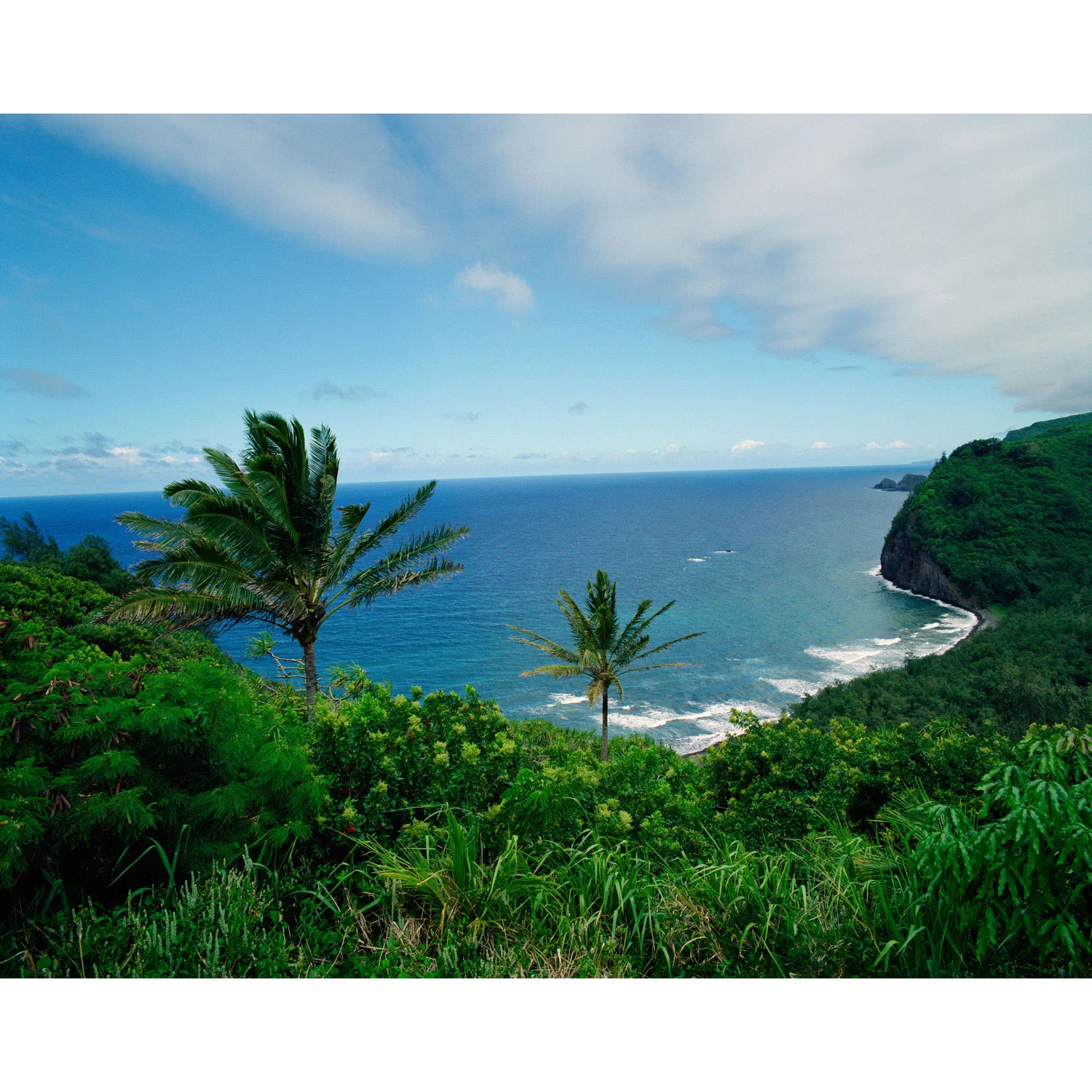 landscape012.jpg