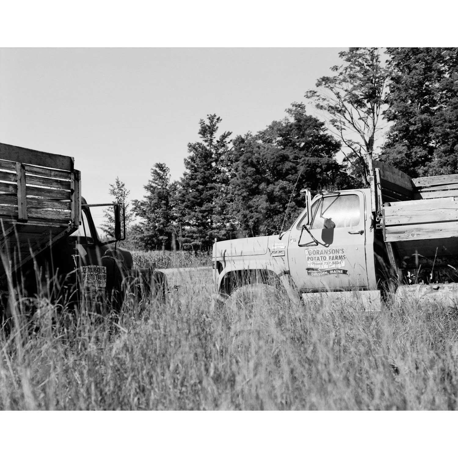 landscape025.jpg