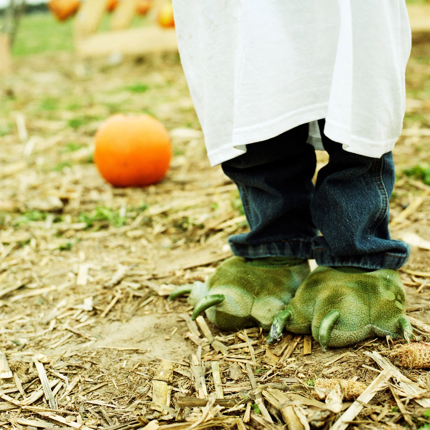 punkin066.jpg