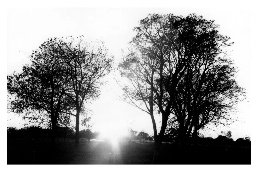 sunrise.jpg