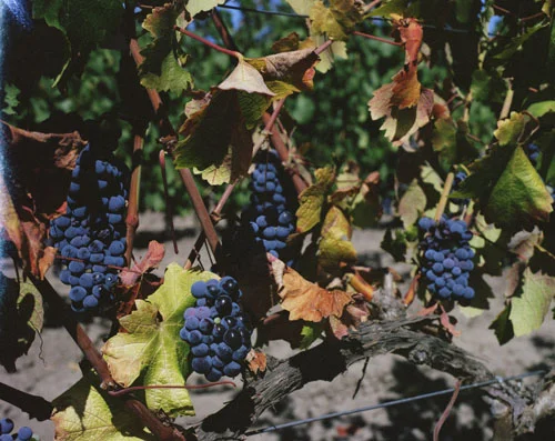 travelcolor_032.jpg