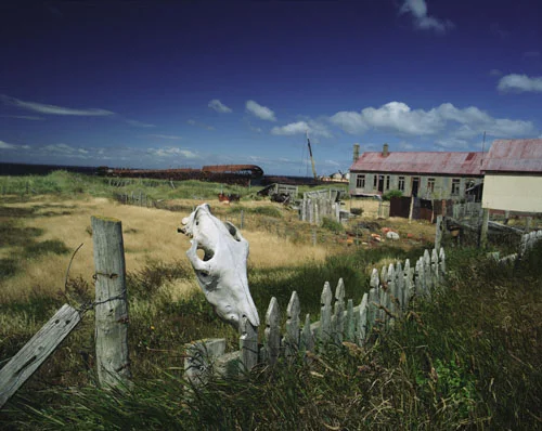 travelcolor_031.jpg