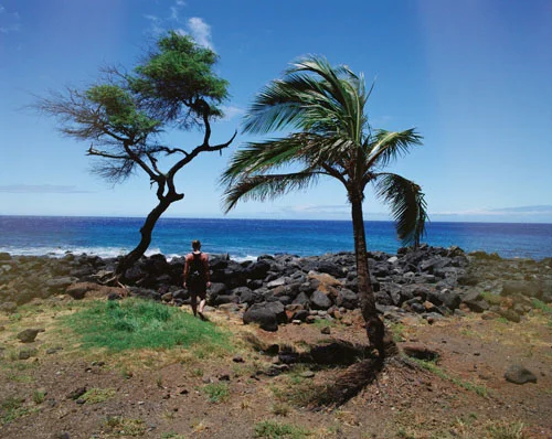 landscape000.jpg