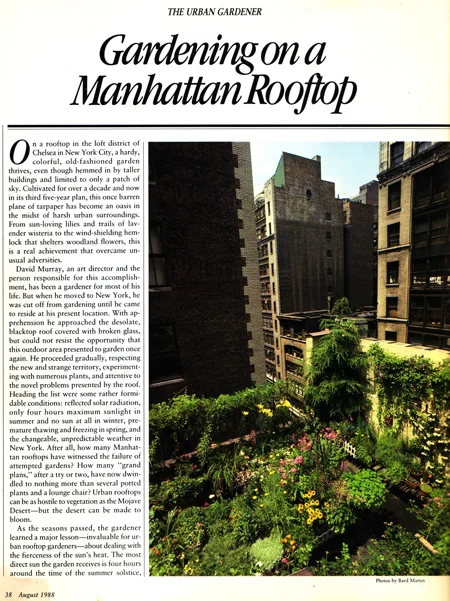 roof garden.jpg
