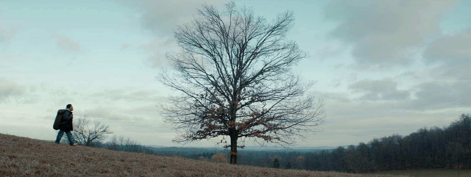 BAGMAN_tree.jpg