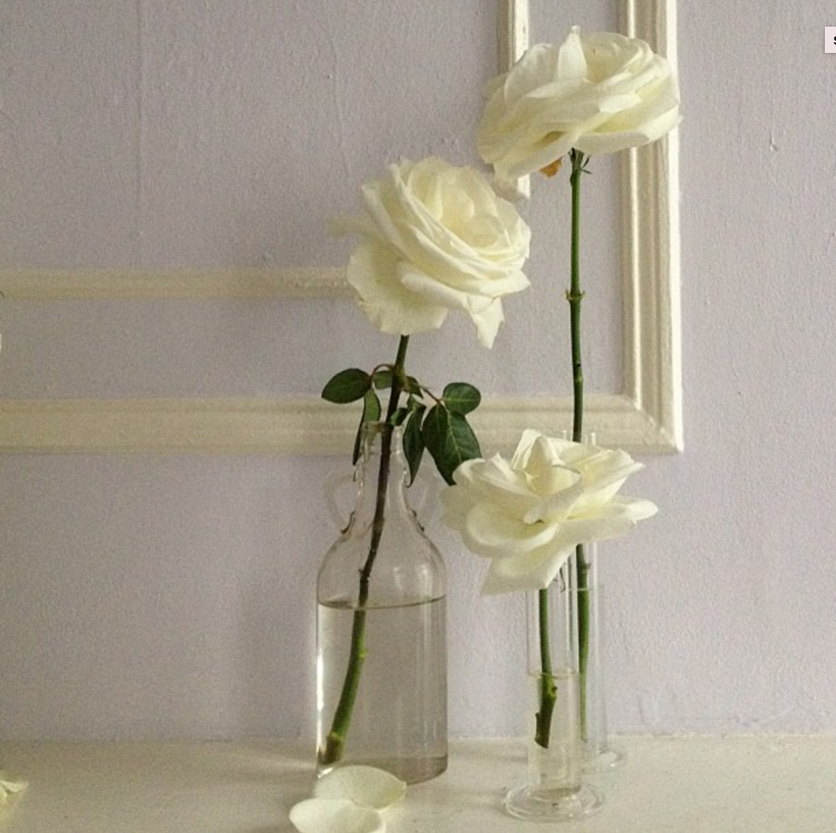 Screen Shot 2017-08-29 at 10.37.38 AM.png