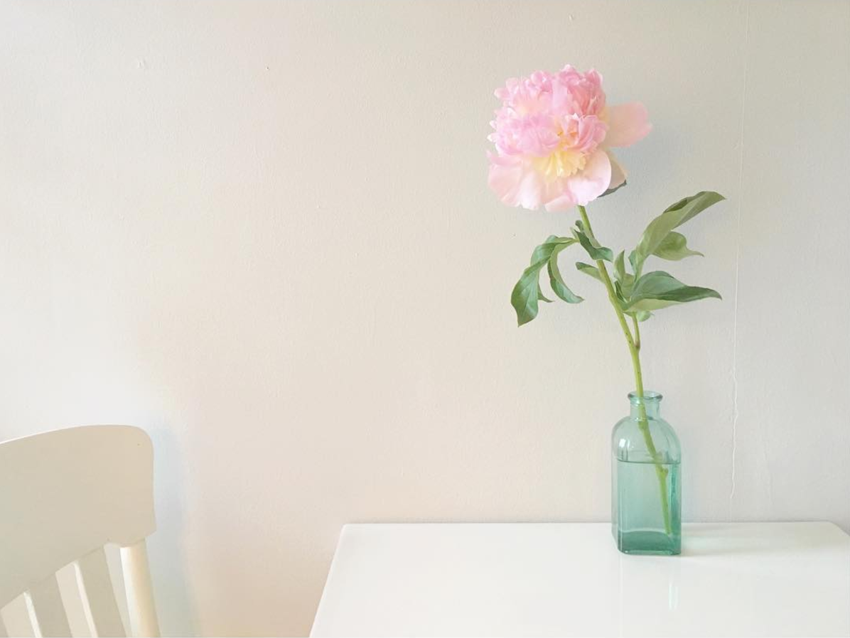 Screen Shot 2017-08-29 at 10.31.30 AM.png