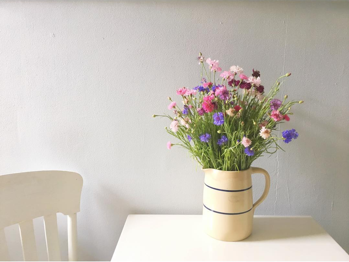 Screen Shot 2017-08-29 at 10.31.21 AM.png