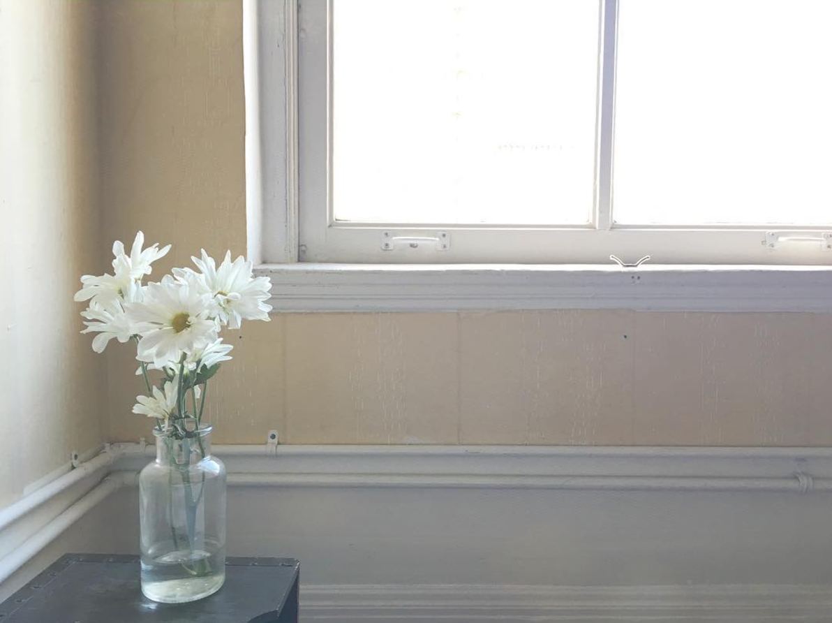 Screen Shot 2017-08-29 at 10.31.51 AM.png