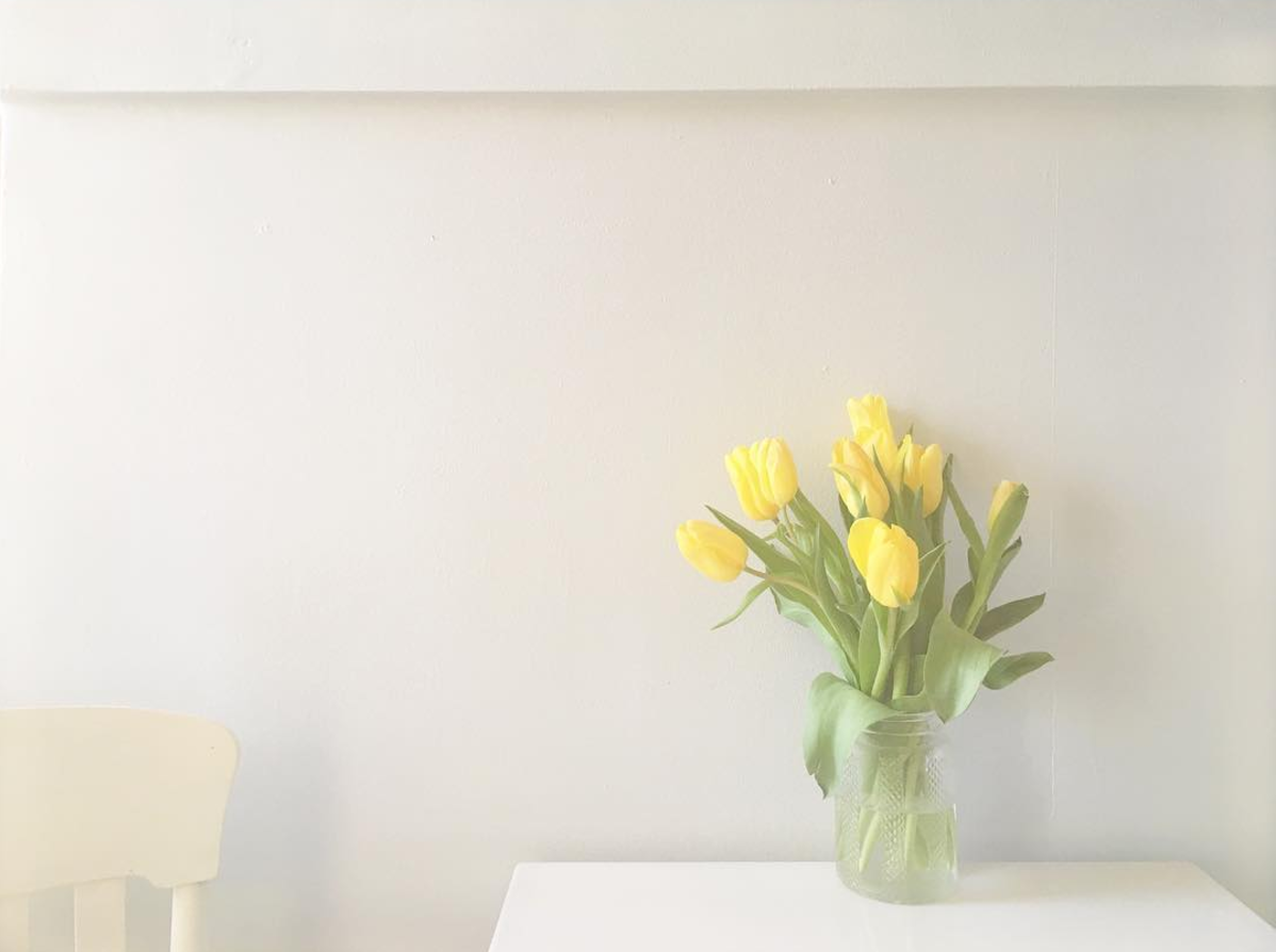 Screen Shot 2017-08-29 at 10.32.22 AM.png