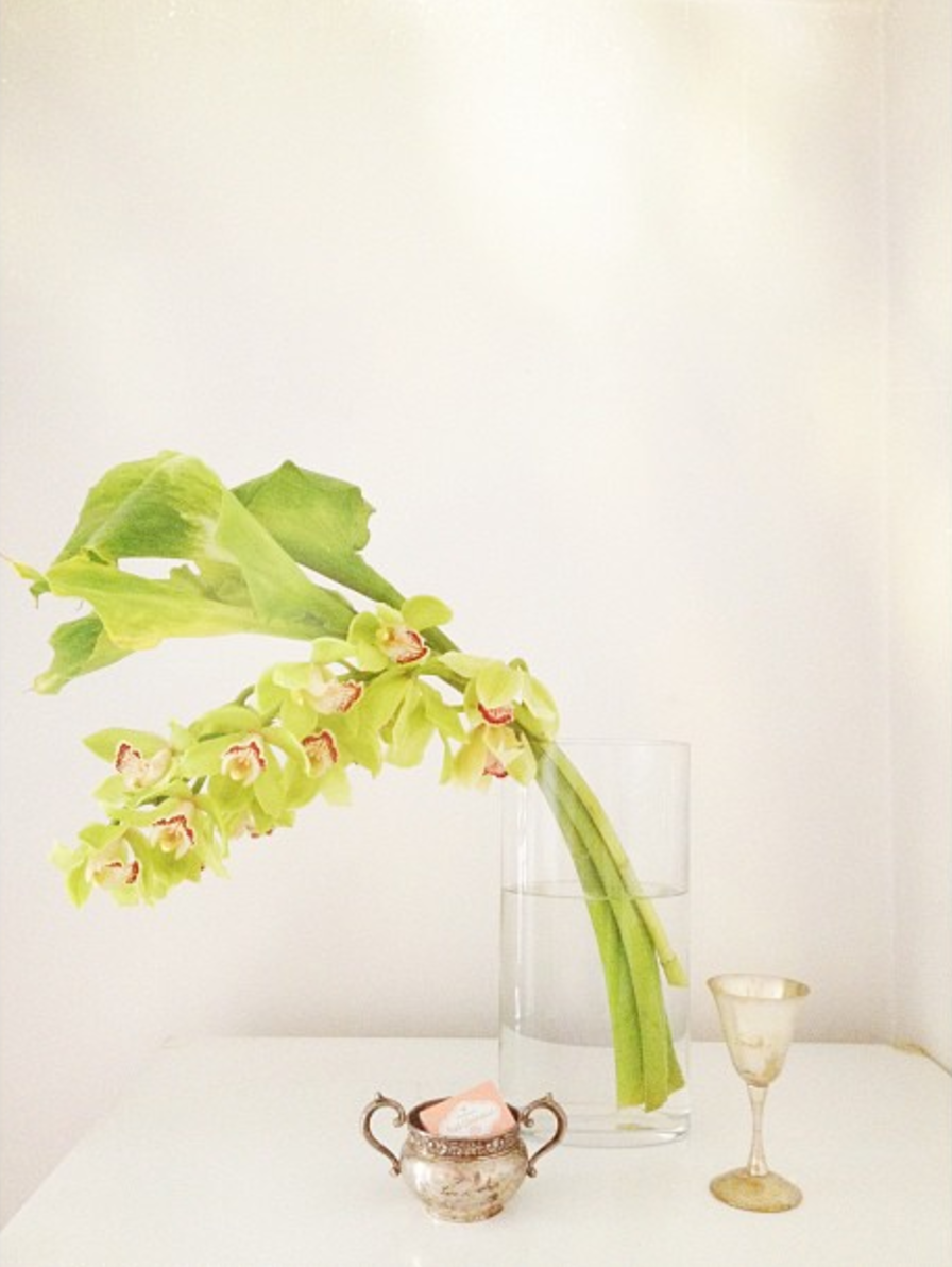 Screen Shot 2017-08-29 at 10.36.23 AM.png