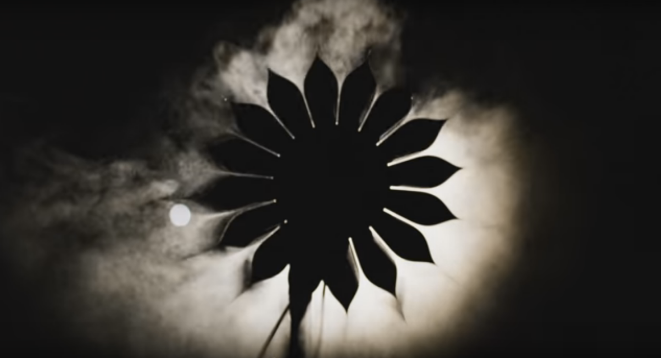 Space: Our Neighborhood