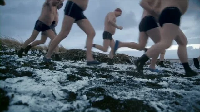 Gillette: Polar Bears