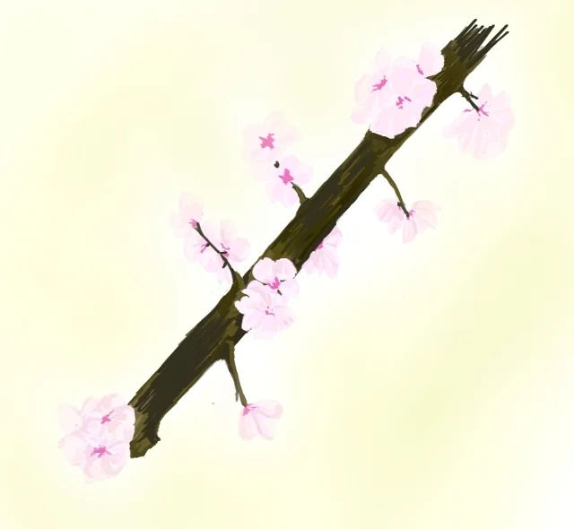 Cherry