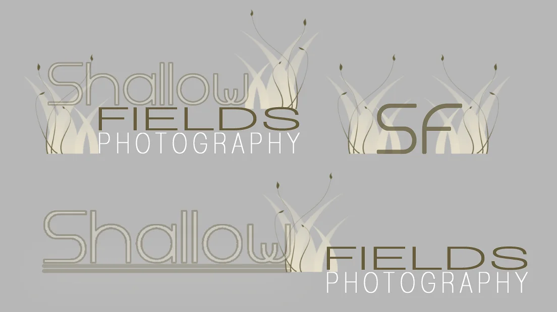 Shallow Fields Logos
