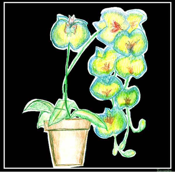 PageImage-39201-1935009-Orchids___by_TheLastUtopian.png