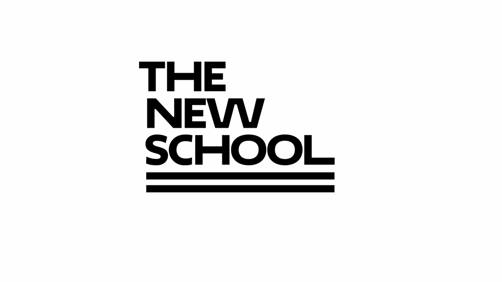 the_new_school_logo_configurations_animated.gif