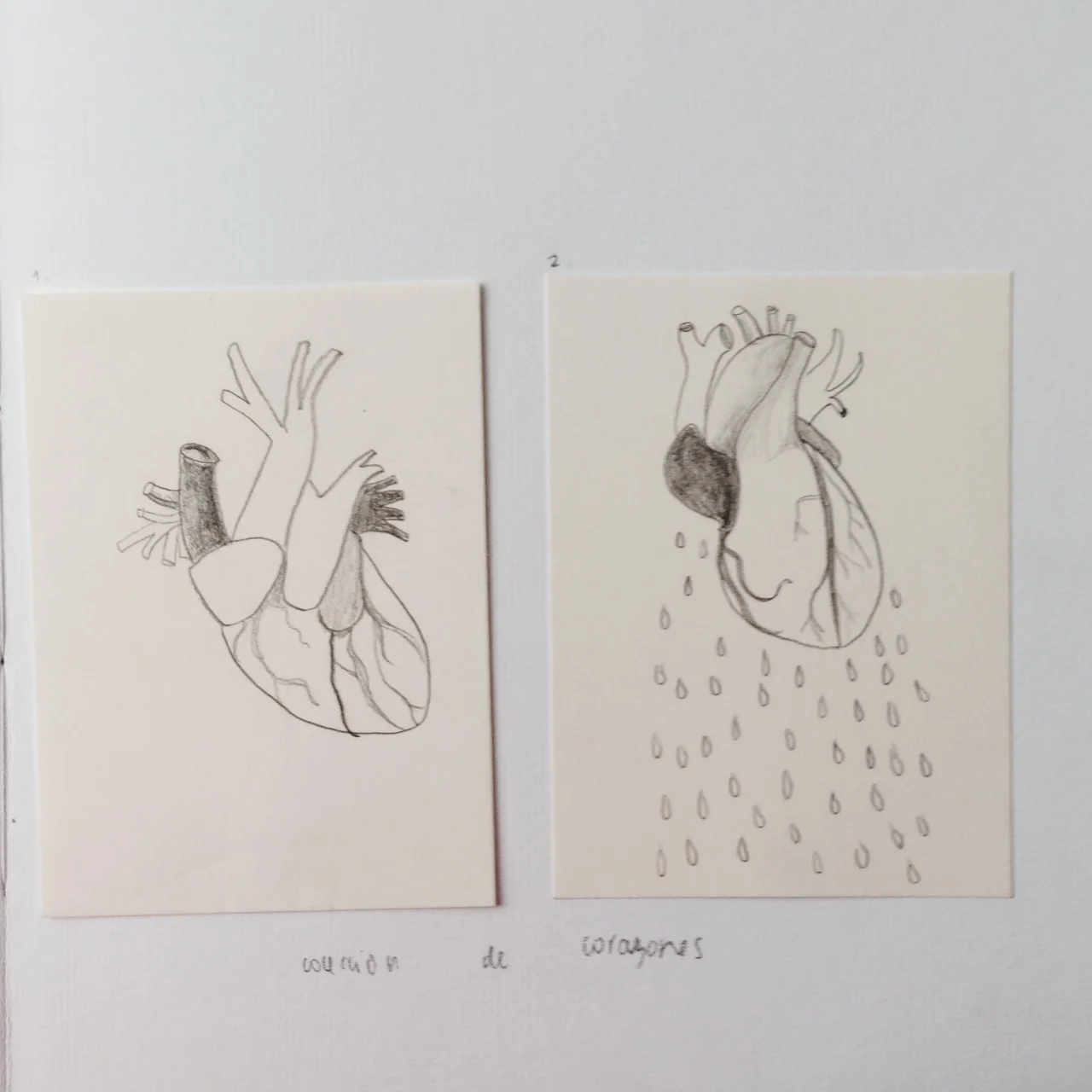 la foto 3 (10).JPG