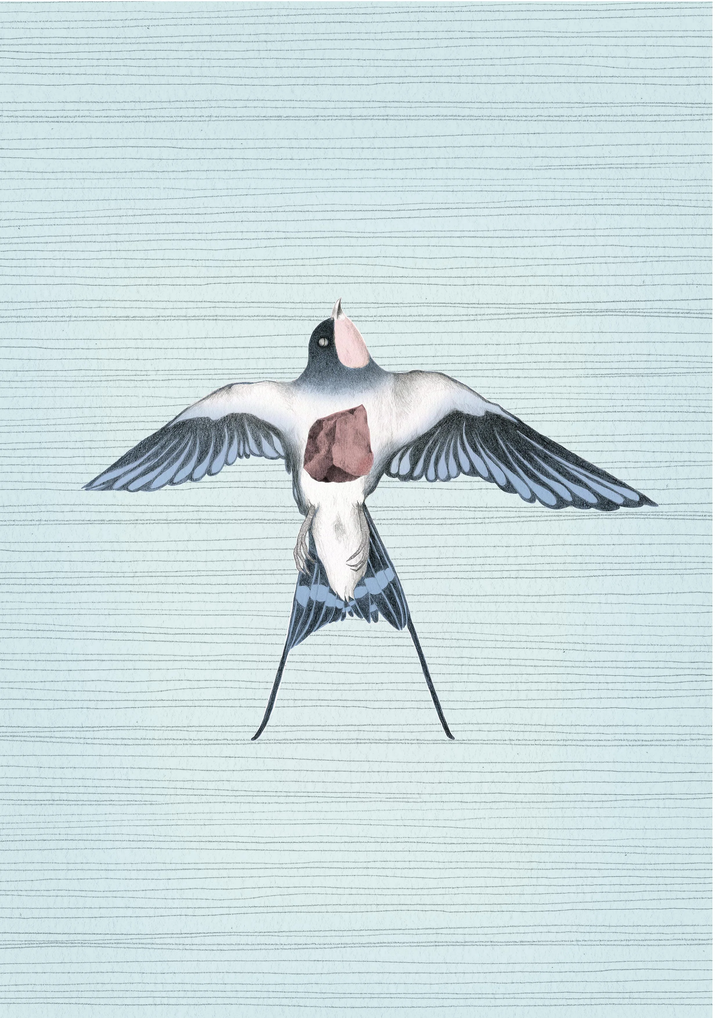 Ilustración para afiche cortometraje Golondrina
