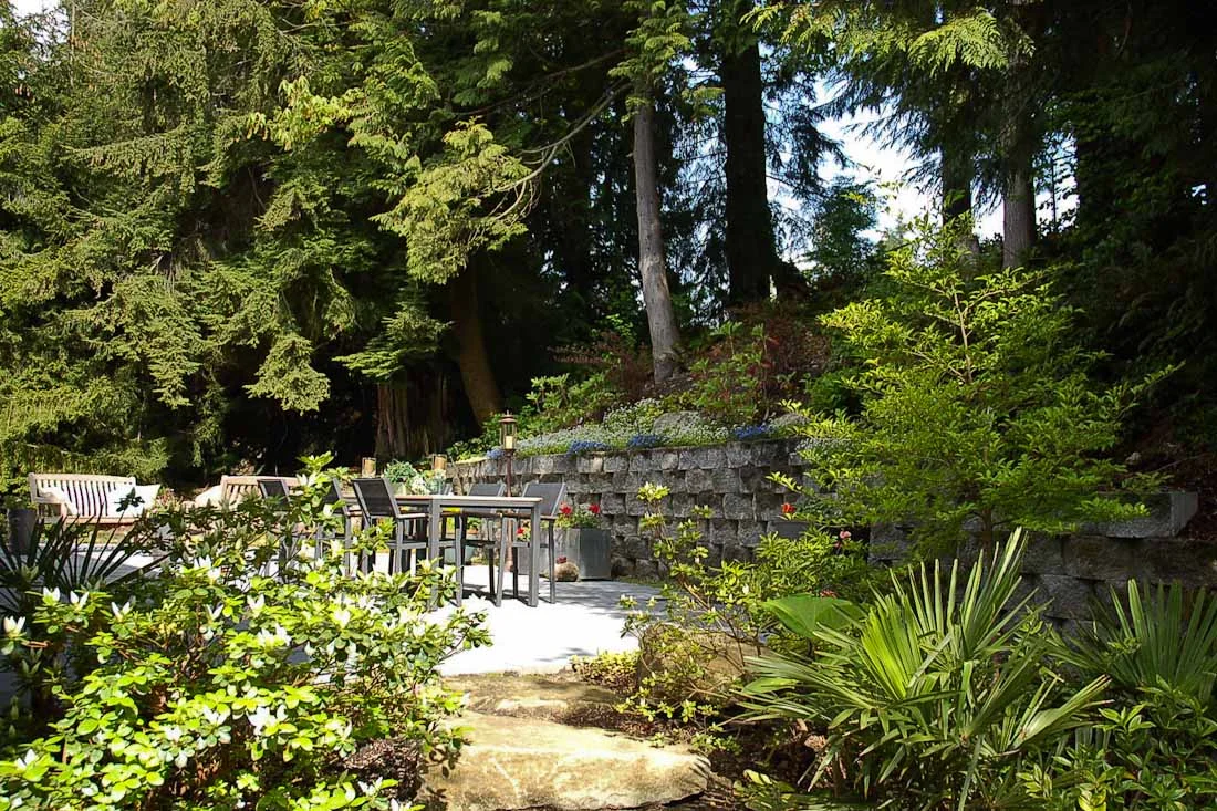issaquah-back-yard-paul-moon-design-landscape-architecture.jpg