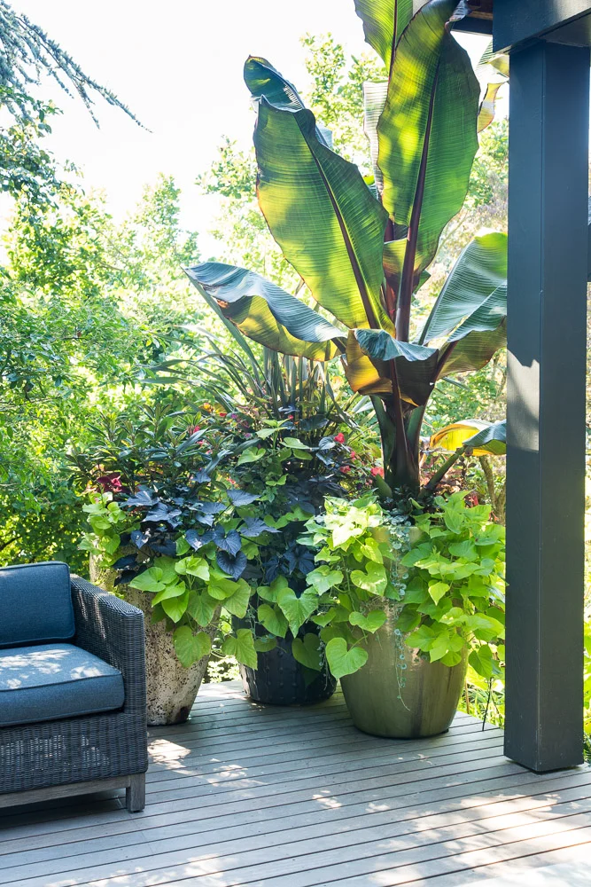 Laurelhurst-residence-remodel-paul-moon-design-seattle-35060.jpg