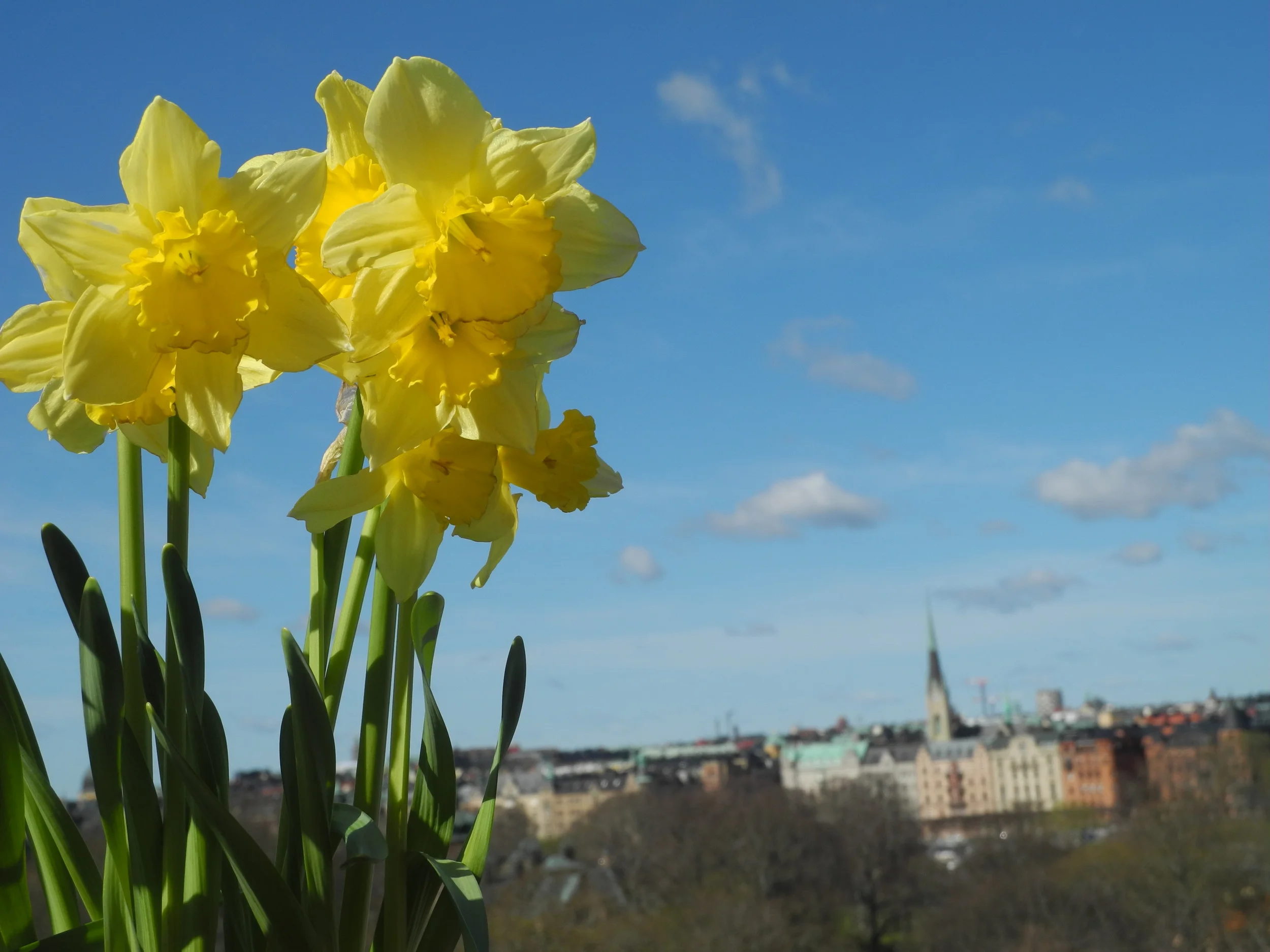 Picture-perfect Stockholm