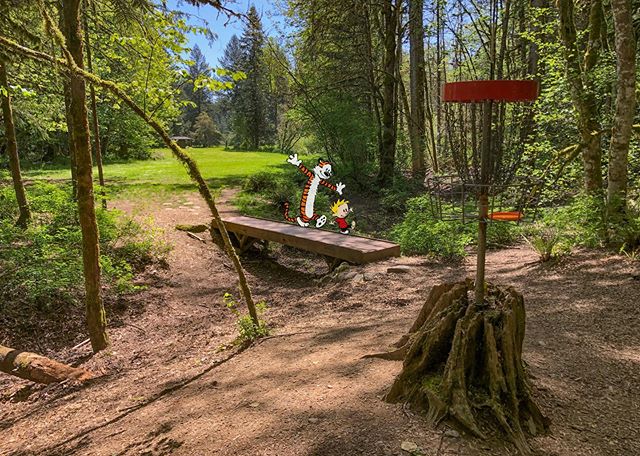 More from my #milomciver #discgolf trip. Joe forgot to shave before we left, so he was a lil fuzzy by the end.
.
.
.
#riverbenddiscgolfcourse #oregondiscgolf #thediscgolfpodcast #calvinandhobbes #discgolfbasket #throwstuffatstuff