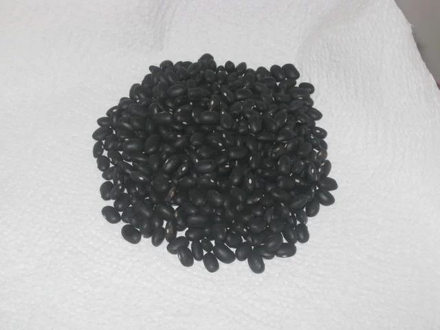 black_beans.jpg