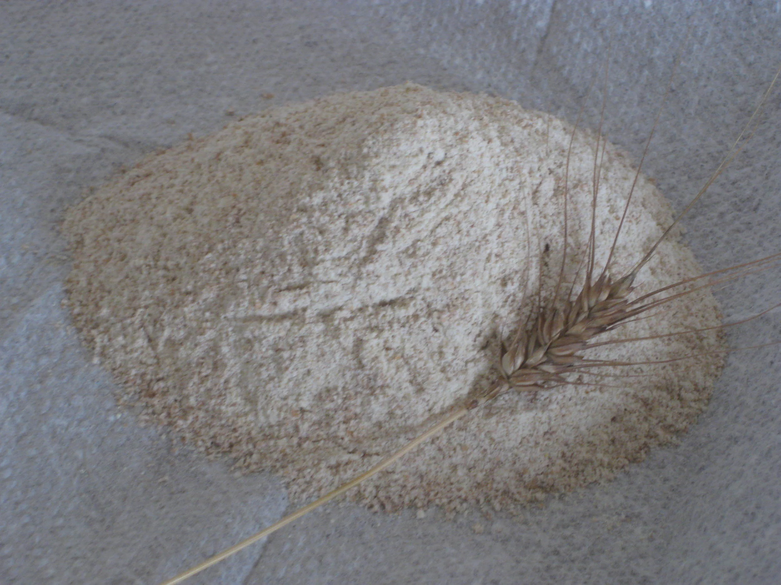 bread flour.jpg